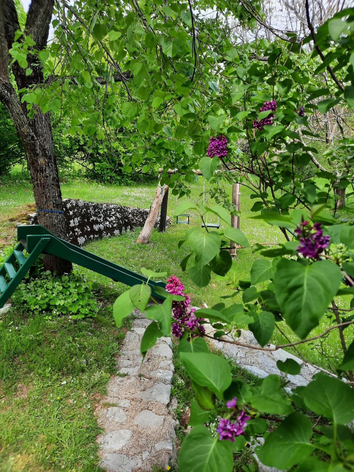 Vila Lovcen4Me Cetinje Exteriér fotografie